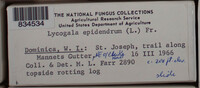 Image Associated With the Occurence